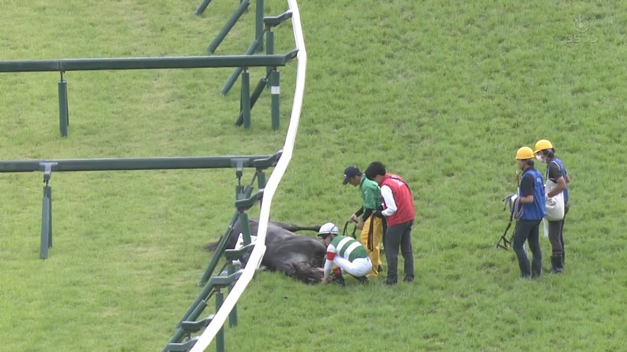 【頼む】スキルヴィング、日本ダービー2023レース後倒れる【助かってくれ】