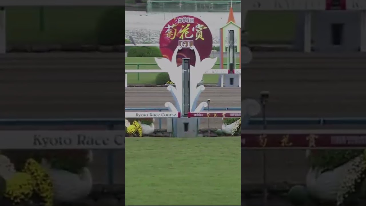 競馬の豆知識　単勝1.0は無くなった！？　#shorts #競馬  #豆知識