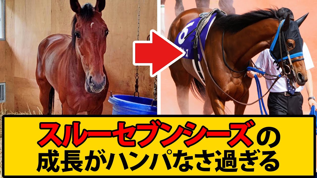 【宝塚2着】なぜスルーセブンシーズがいきなり強くなったのか解説します。