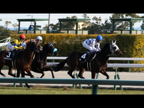 【武豊】誰もが勝つと思ったロン、まさかの3着