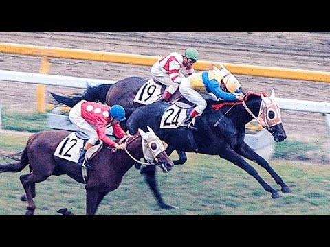 第４４回　東京優駿（日本ダービー）　ラッキールーラ　牡３　57　伊藤正徳　1977.5.26　　出走馬： ハードバージ、カネミノブ、ワールドサバンナ、リュウキコウ、アマミプリンス、プレストウコウ他