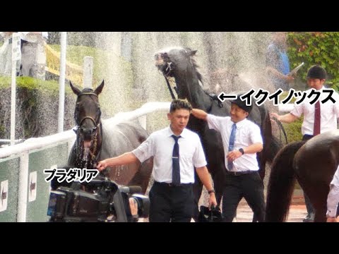 【宝塚記念】激戦を終えてシャワーでクールダウンする出走馬たち イクイノックス 他