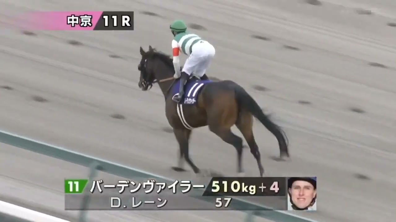 中京11R チャンピオンズC 《G1》本馬場入場【ザ・チャンピオン】