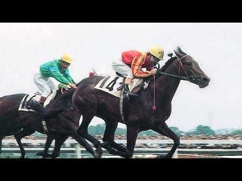 第３８回　東京優駿（日本ダービー）　ヒカルイマイ　牡３　57　田島良保　1971.6.13　　出走馬：ハーバーローヤル、フイドール、スインホウシュウ、ゼンマツ、ベルワイド、ニホンピロムーテー他