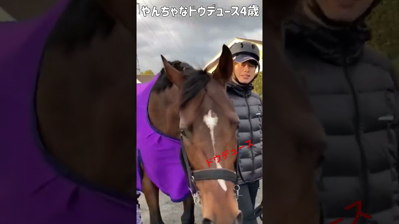 かわいい♡ドウデュース4歳馬 武豊