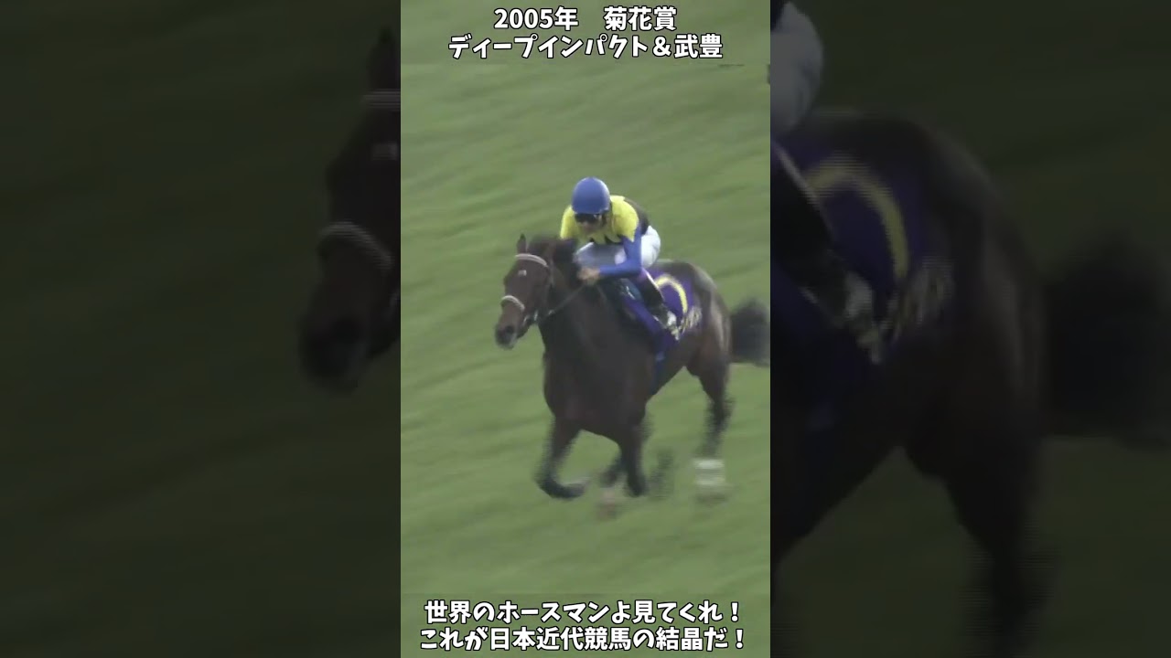 【競馬】shortで見る三冠の瞬間『ディープインパクト』これが日本近代競馬の結晶だ！【菊花賞】 #short