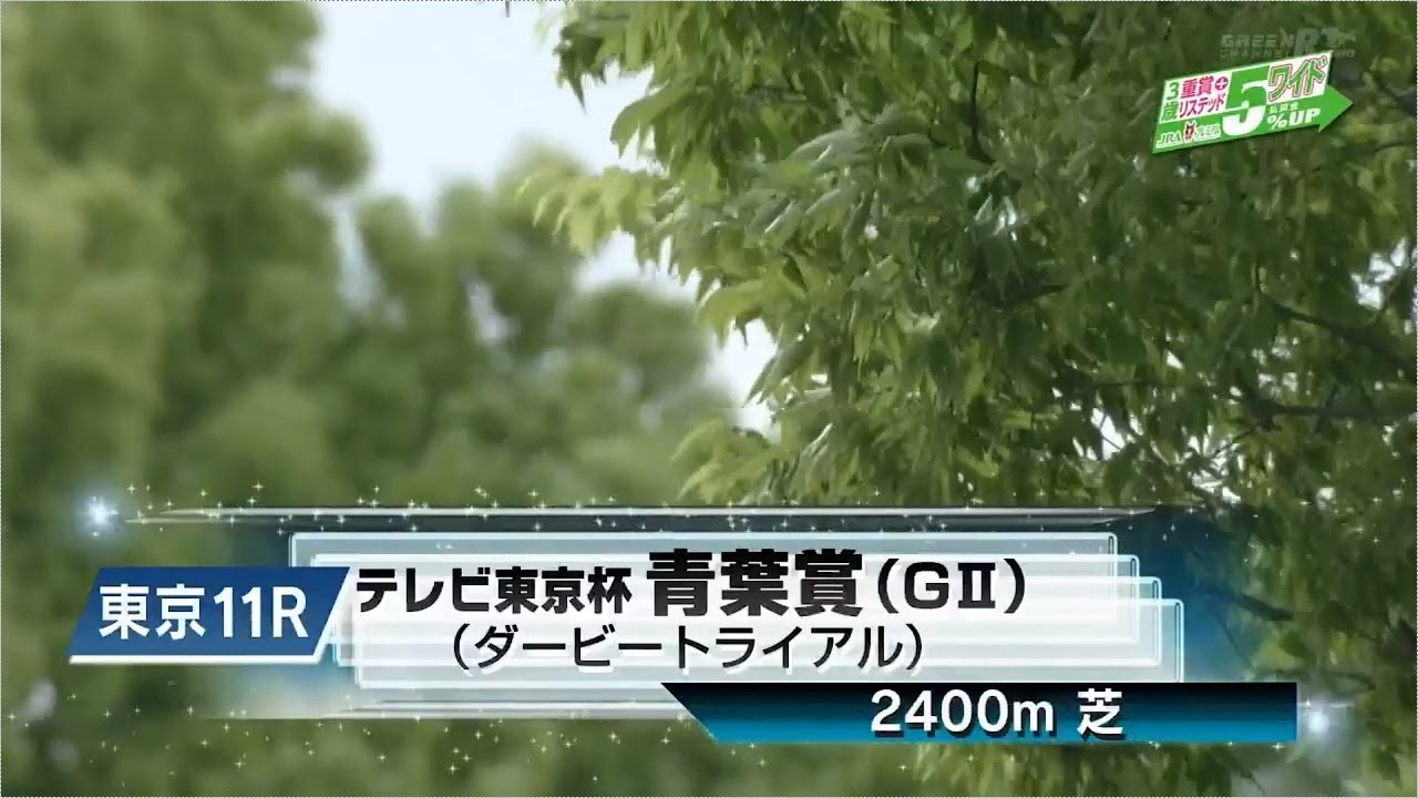 【競馬】2023年 第30回青葉賞(GⅡ) 【スキルヴィング】
