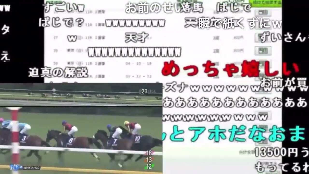【ずいえき】自信満々で買った馬が落馬【NHKマイルカップ】