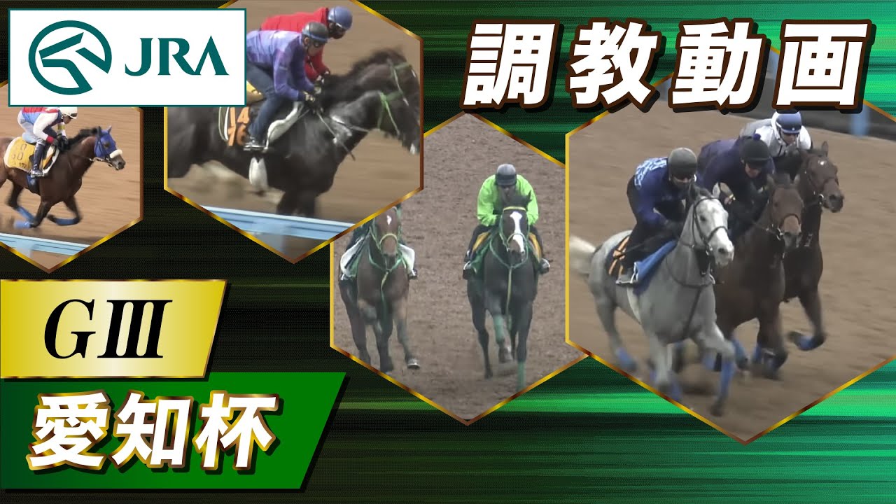 【調教動画】2023年 愛知杯｜JRA公式