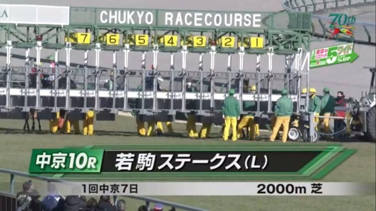 若駒ステークス(L)［2023.1.21 中京第10R/2000m 芝］