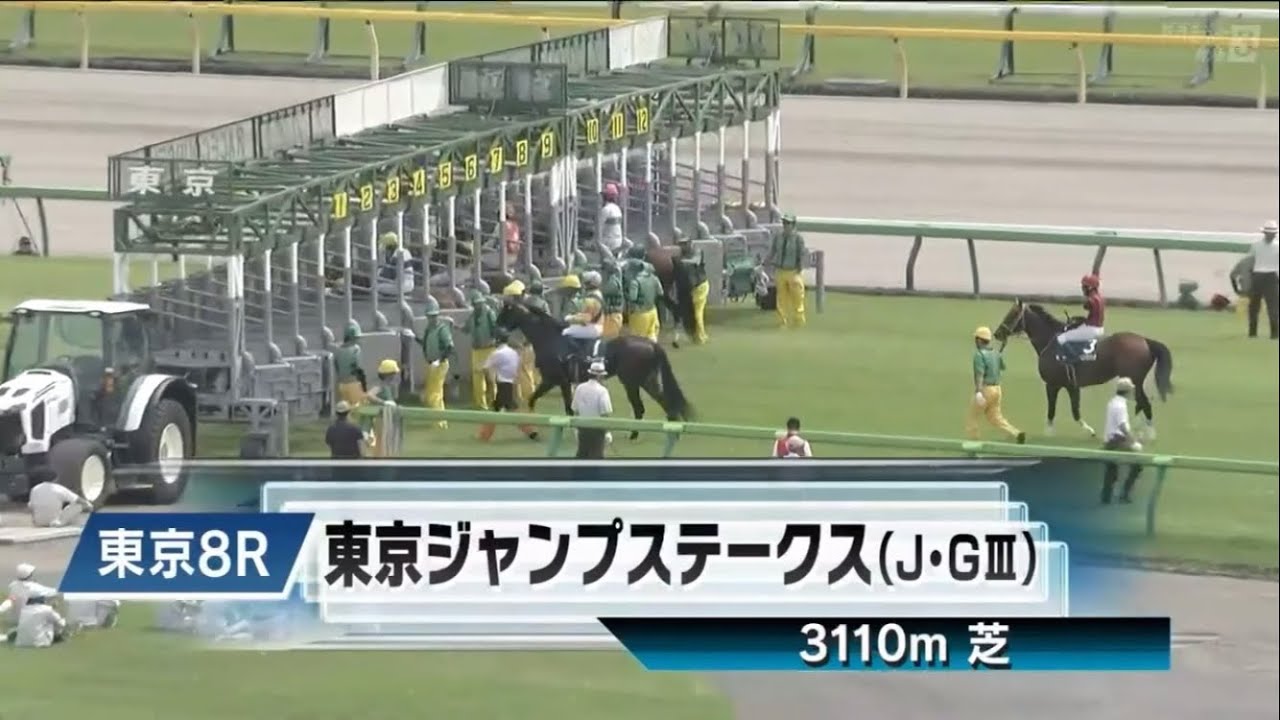 第25回東京ジャンプステークス(J･GⅢ)