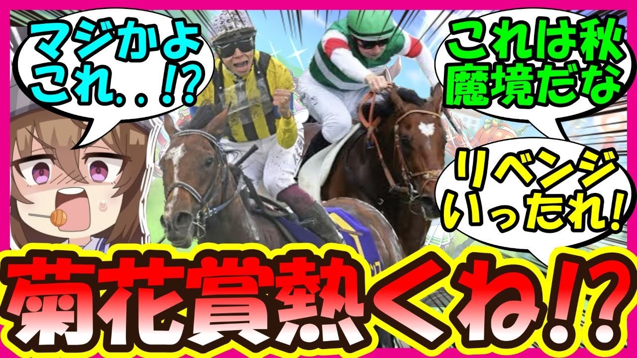 『ソールオリエンスが菊花賞を視野にいれてることが判明！』に対するみんなの反応集 まとめ 競馬 【ウマ娘プリティーダービー】【かえで】