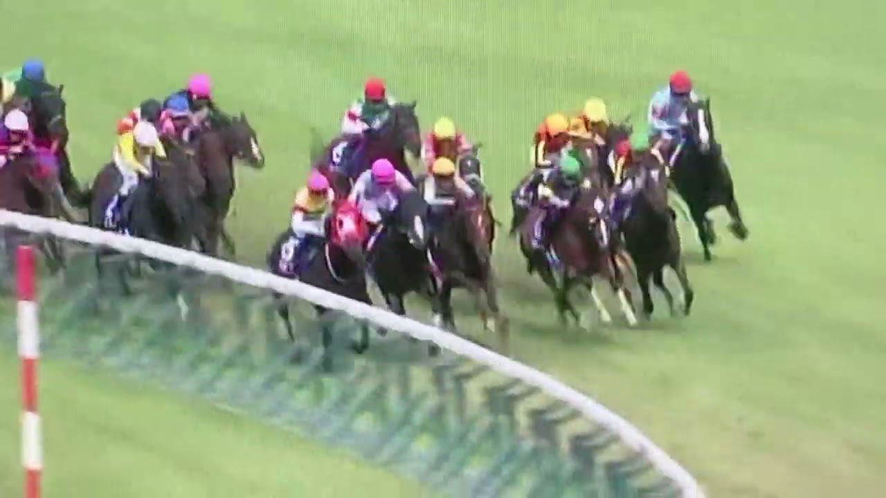 2023年　宝塚記念　イクイノックス　音声ラジオ日本　レース映像　レースビデオ　ルメール#イクイノックス#宝塚記念#2023#レース映像#ラジオ日本#宝塚記念イクイノックス#2023宝塚記念