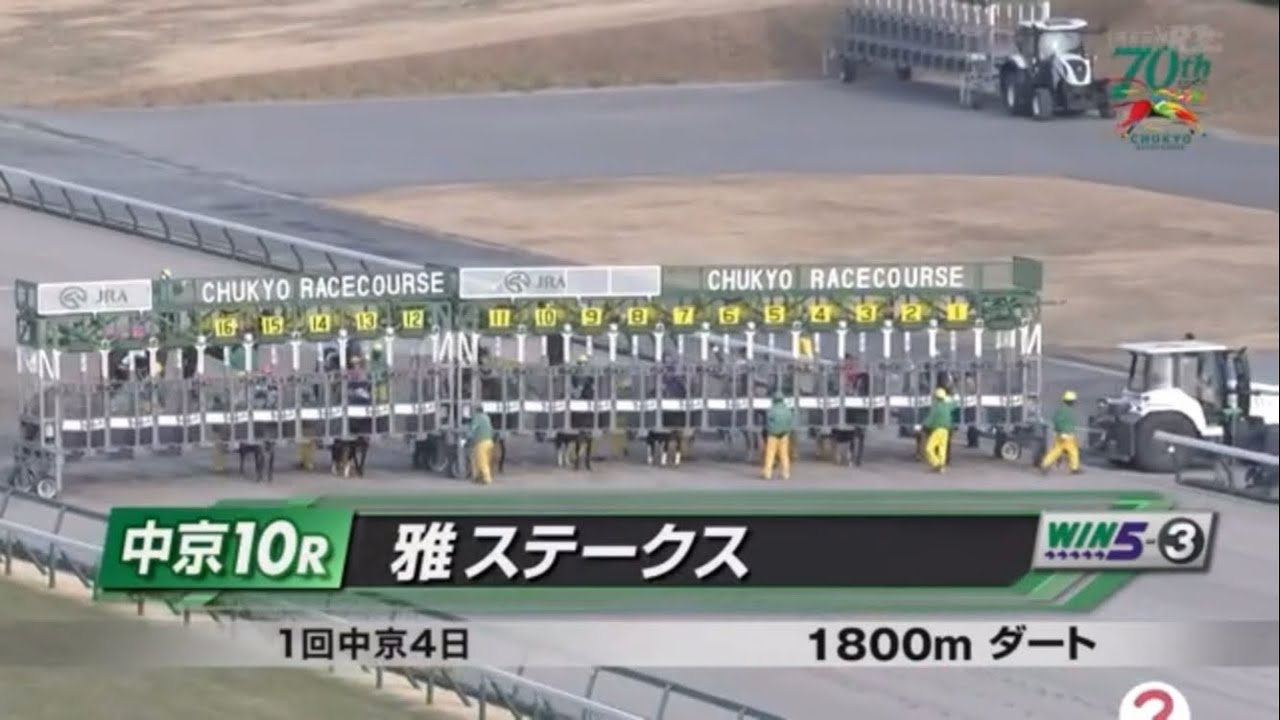 雅ステークス