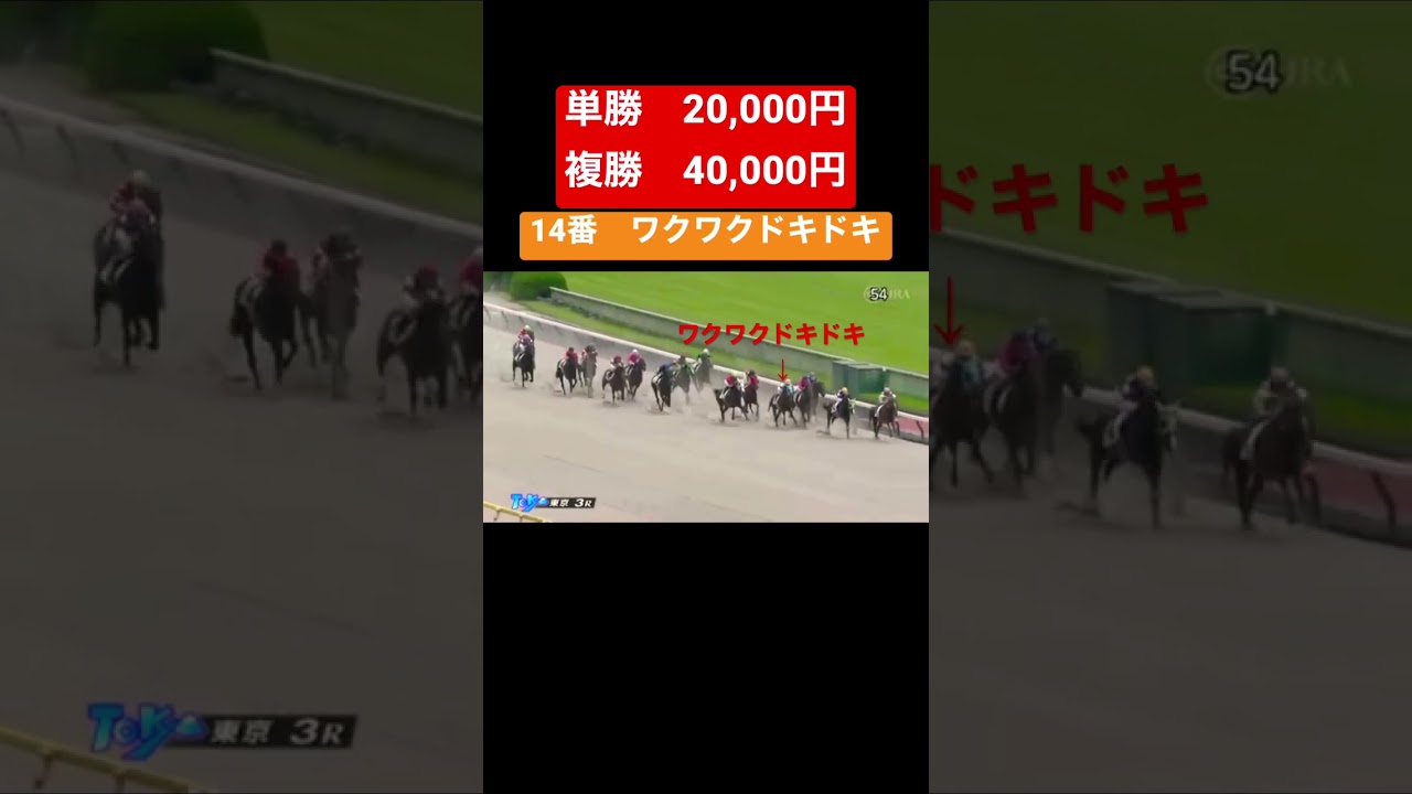 #67【JRA競馬】【宝塚記念前日】魂の単複60,000円ガチンコ馬券勝負！！
