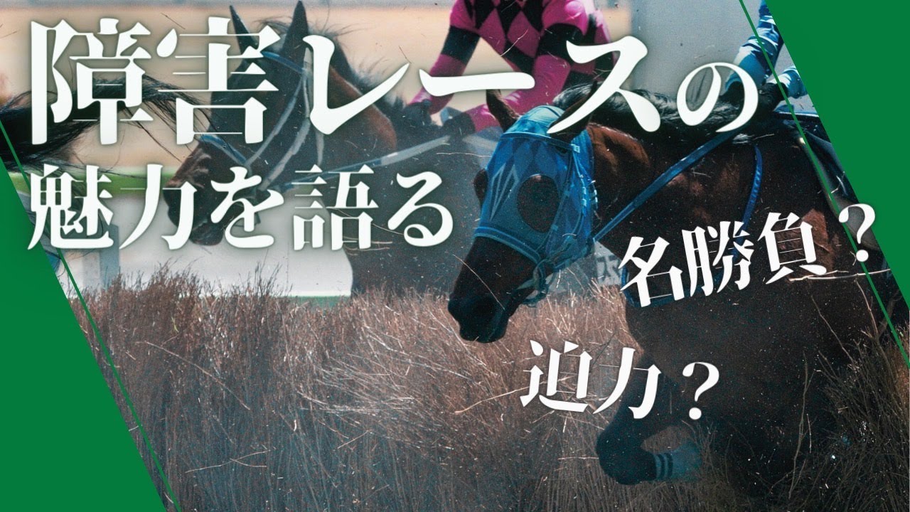 【競馬入門】実は馬券を当てやすい!?障害レースの魅力と思い出の名勝負は?? withおしウマ!!あざら氏