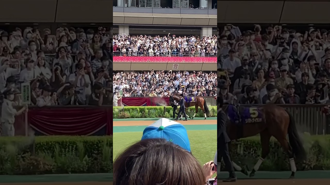 【現地】2023/05/21 G1 優駿牝馬 オークス　リバティアイランド　パドック  【東京競馬場】
