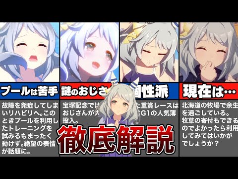 【ウマ娘】史実のヒシミラクルについてゆっくり解説
