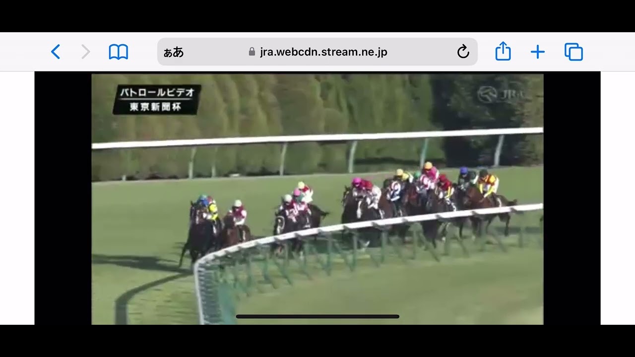 2023年2月5日 東京新聞杯 GⅢ パトロールビデオ