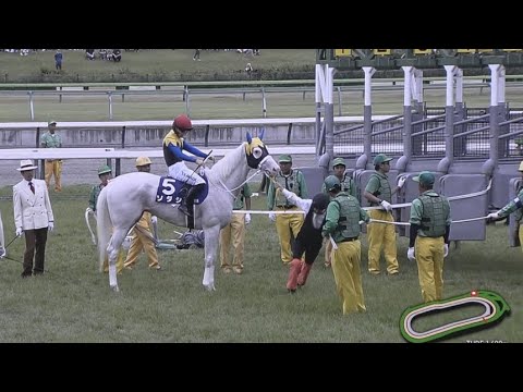 【安田記念2023】今浪さんが引っ張るも ゲート入りをゴネるソダシ【現地】
