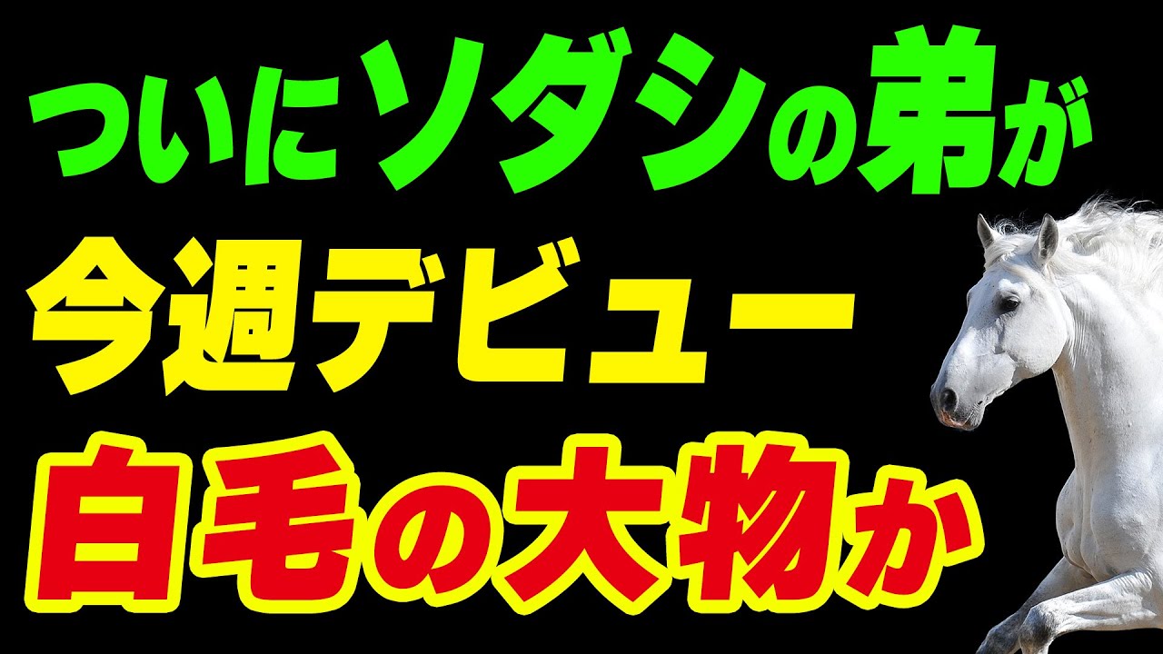 ソダシの弟がついにデビュー！白毛馬の大物が誕生か