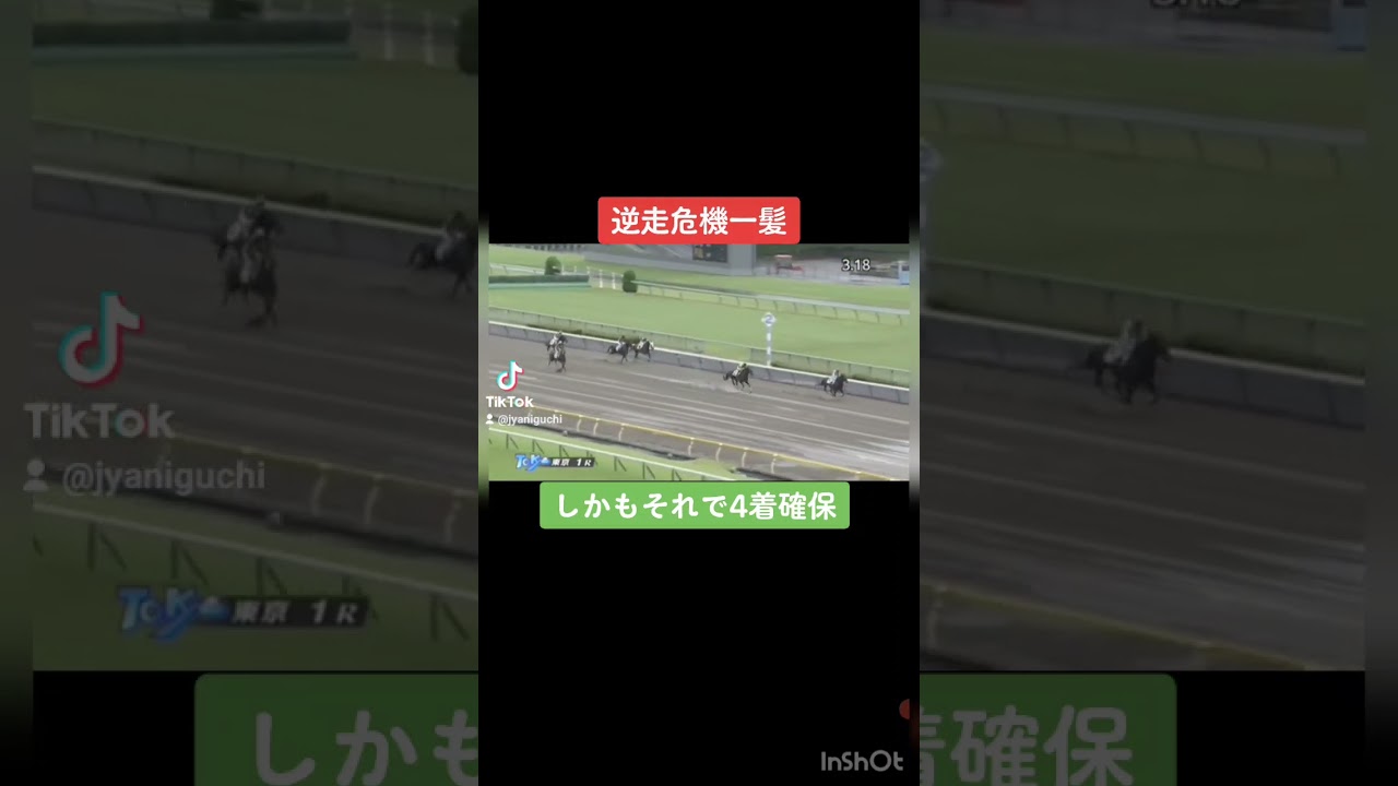 逆走危機一髪障害レース