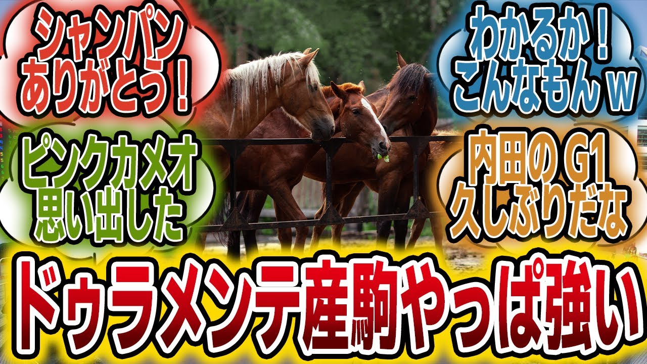 「ウチパクのシャンパンカラー強すぎだろwww流石ドゥラメンテ産駒！」に対するみんなの反応【競馬の反応集】