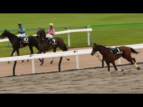 【放馬】安田記念後の最終レースでエリカコネクトが発馬直後に落馬、騎手を乗せずにレースに参加、最後は自分で転回し他の馬と一緒に戻るかと思ったら・・・