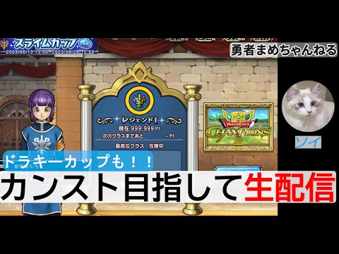 【ドラゴンクエストチャンピオンズ】高難易度クエストとドラキーカップがんばる生配信