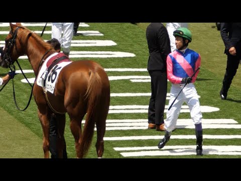 【武豊】メイショウサトユキ パドック 珍しく馬を間違えるレジェンド