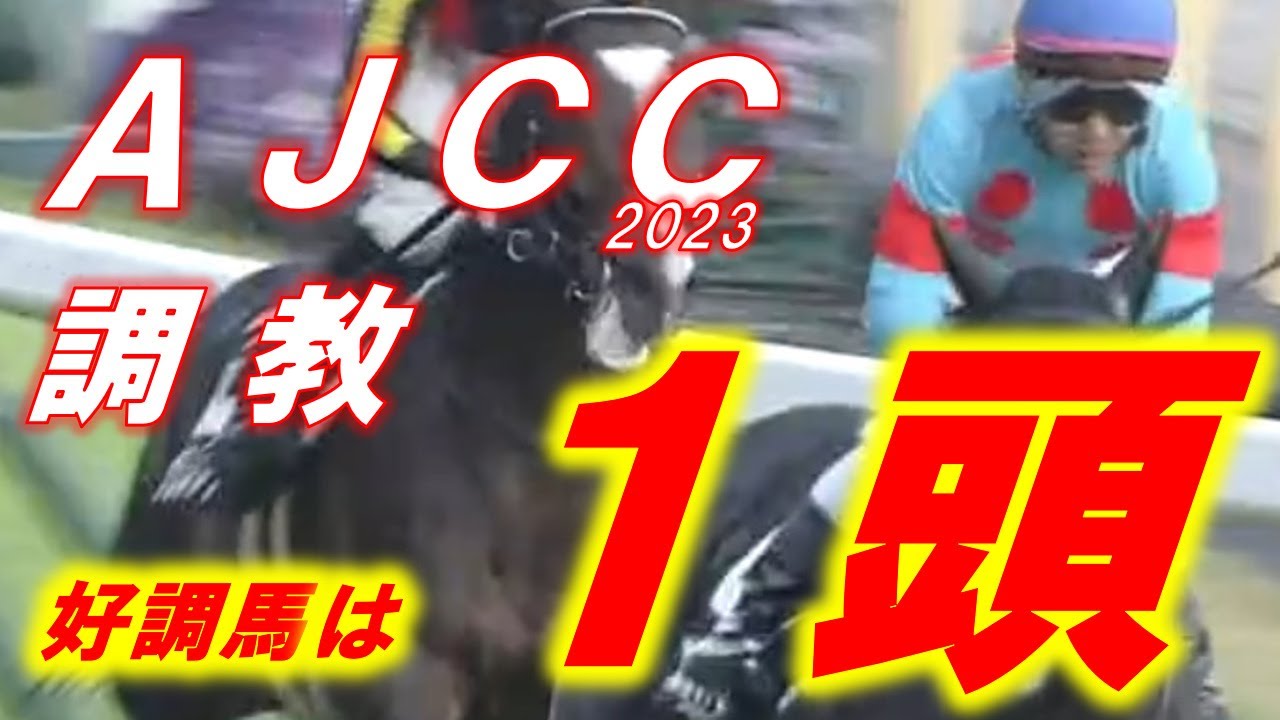 アメリカジョッキークラブカップ2023　追い切り診断！！　好調馬は1頭のみ！！　ガイアフォースは進化しているか！？　元馬術選手のコラム【競馬】