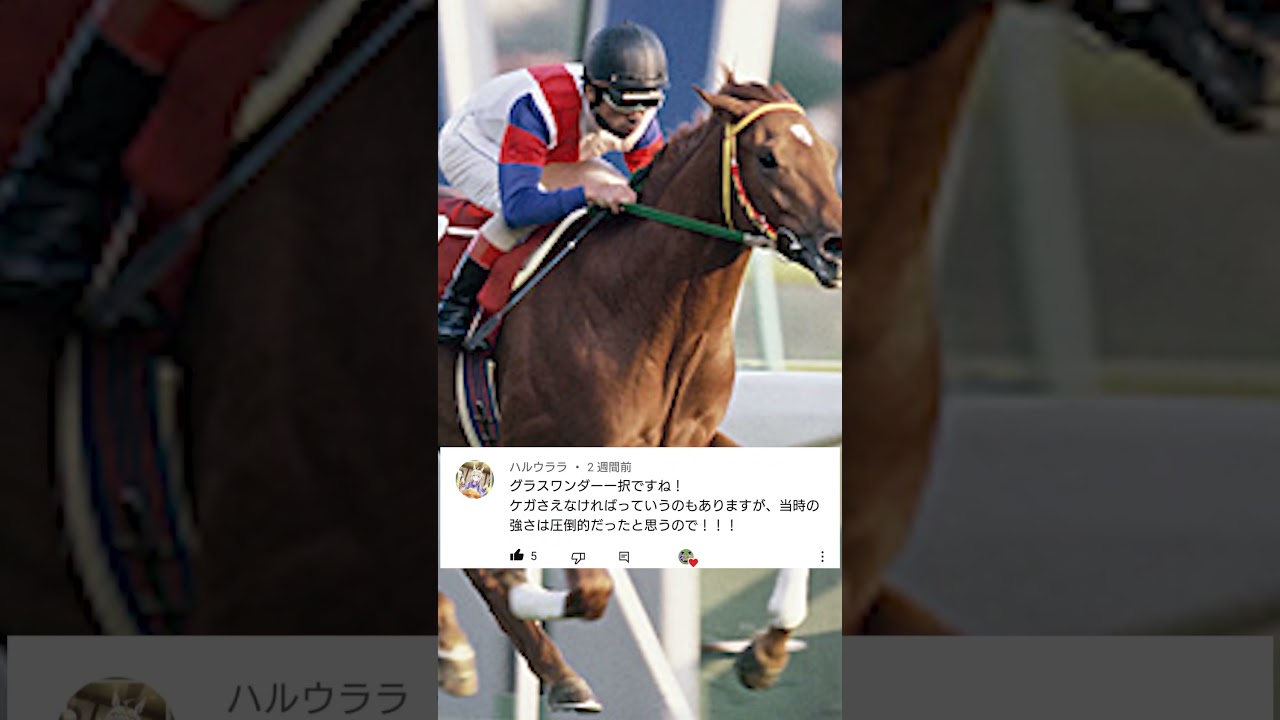 幻のNHKマイルカップ 勝つのはどの馬か？3万3000人の声を発表します！　#shorts #競馬