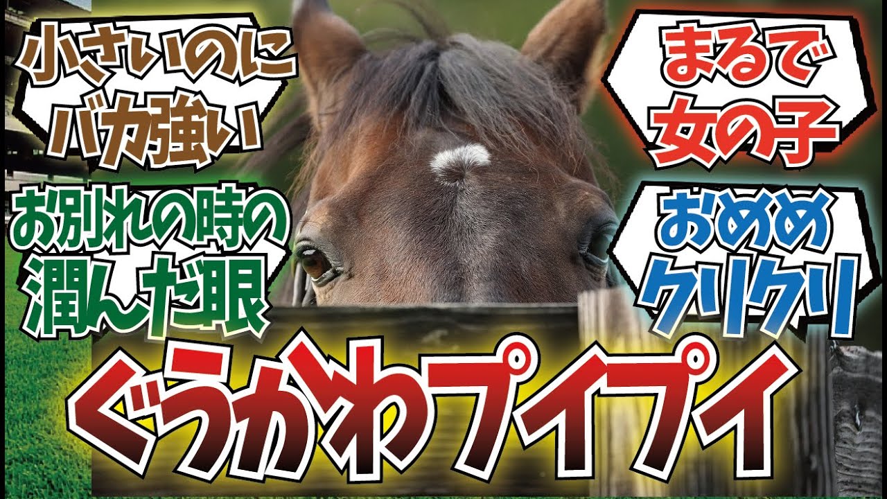 「ディープインパクトの可愛い一面を見ていこう」に対するみんなの反応集