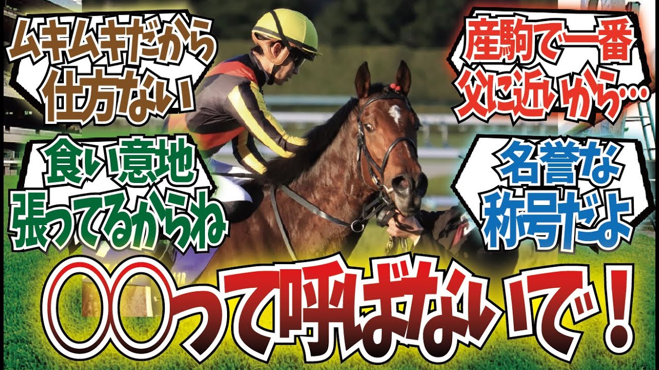 「リバティアイランドから不満があるようです」に対するみんなの反応集