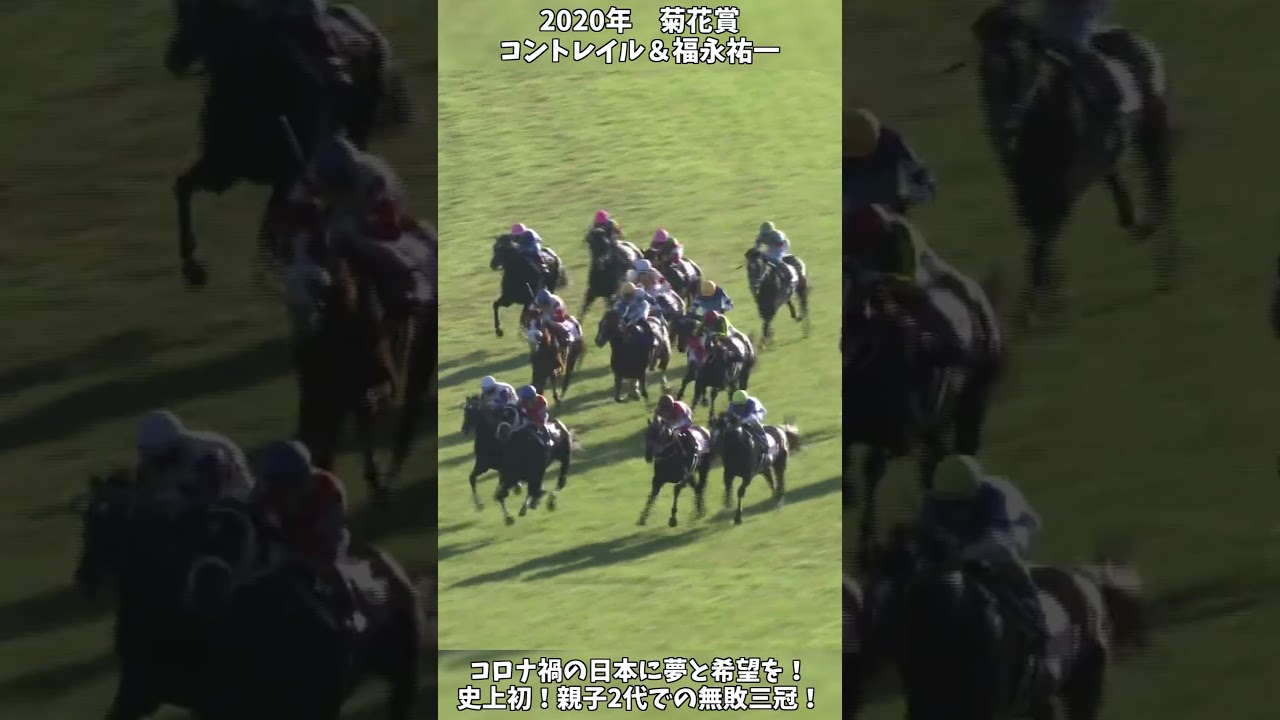 【競馬】shortで見る三冠の瞬間『コントレイル』史上初！親子二代での無敗三冠達成！【菊花賞】 #short
