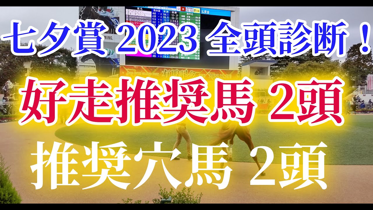 【七夕賞2023】荒れるハンデ重賞はレースペースが重要！【全頭診断】【競馬予想】
