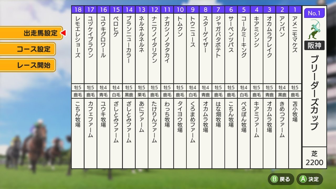 有馬記念コースBC大会80連戦