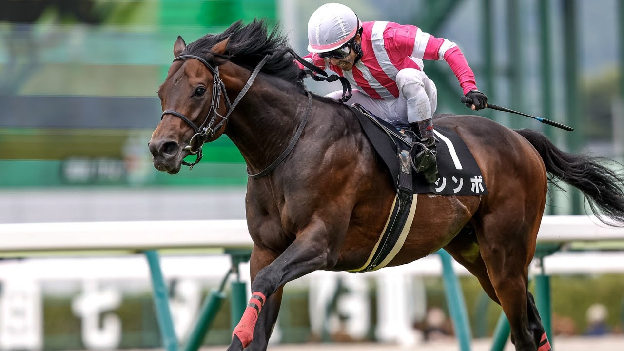 福島11R阿武隈ステークス2023シンボ