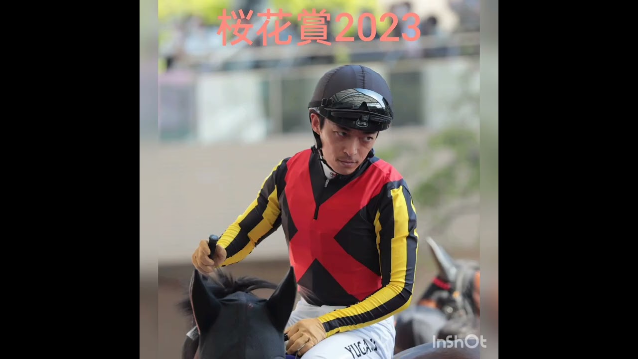 【リバティアイランド桜花賞写真集】一眼レフカメラで撮影した写真集📸 #一眼レフカメラ #Canon #1DMarkⅡ#競馬 #桜花賞 #リバティアイランド #撮影 #阪神競馬場 #馬 #写真集