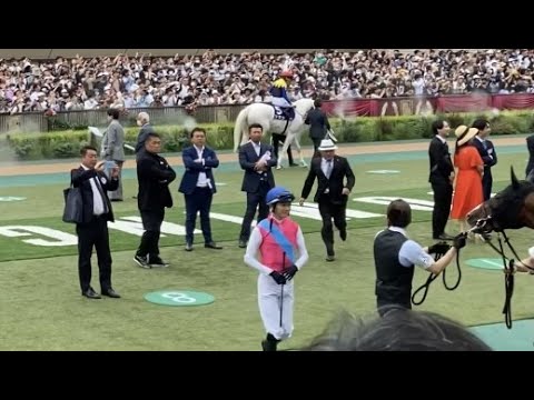 ソダシにぽんぽんしてドルチェモアに　走る走る須貝さんを発見　安田記念　東京競馬場