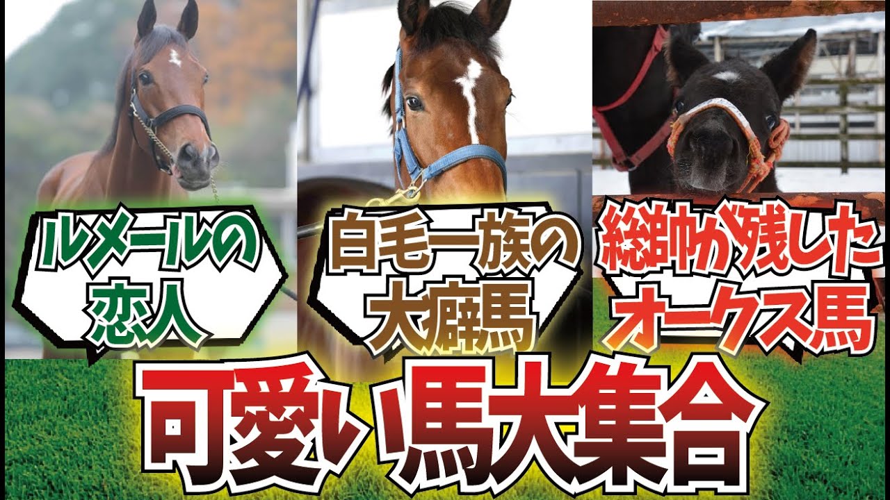 「最も容姿がいい牝馬ステークス」に対するみんなの反応集
