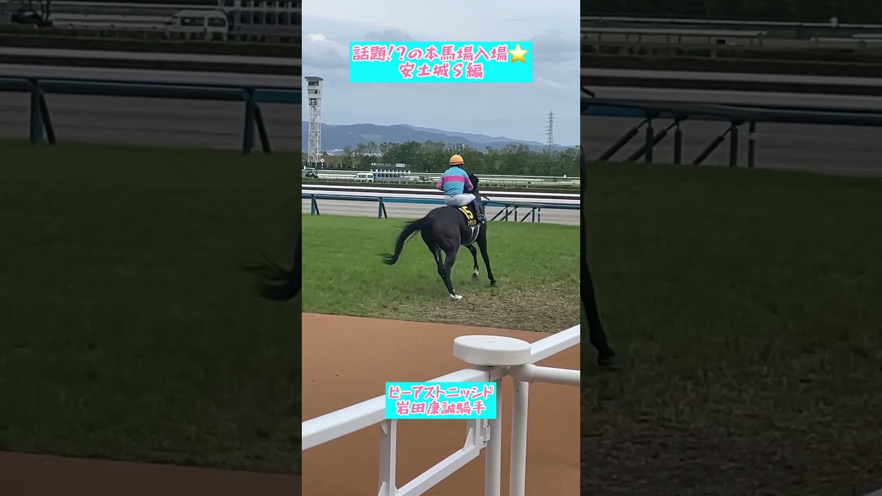 岩田康誠騎手とビーアストニッシドの本馬場入場、安土城Ｓ編✨#shorts