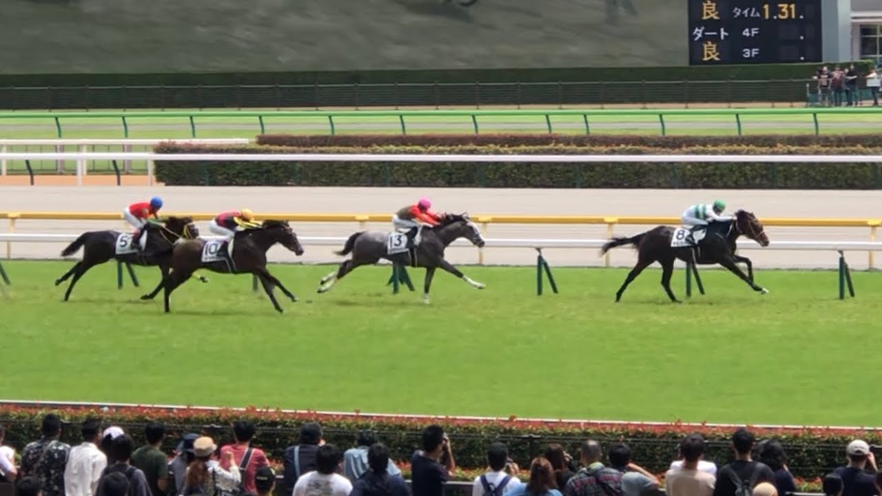 【現地】ボルケーノ メイクデビュー東京 2歳新馬戦