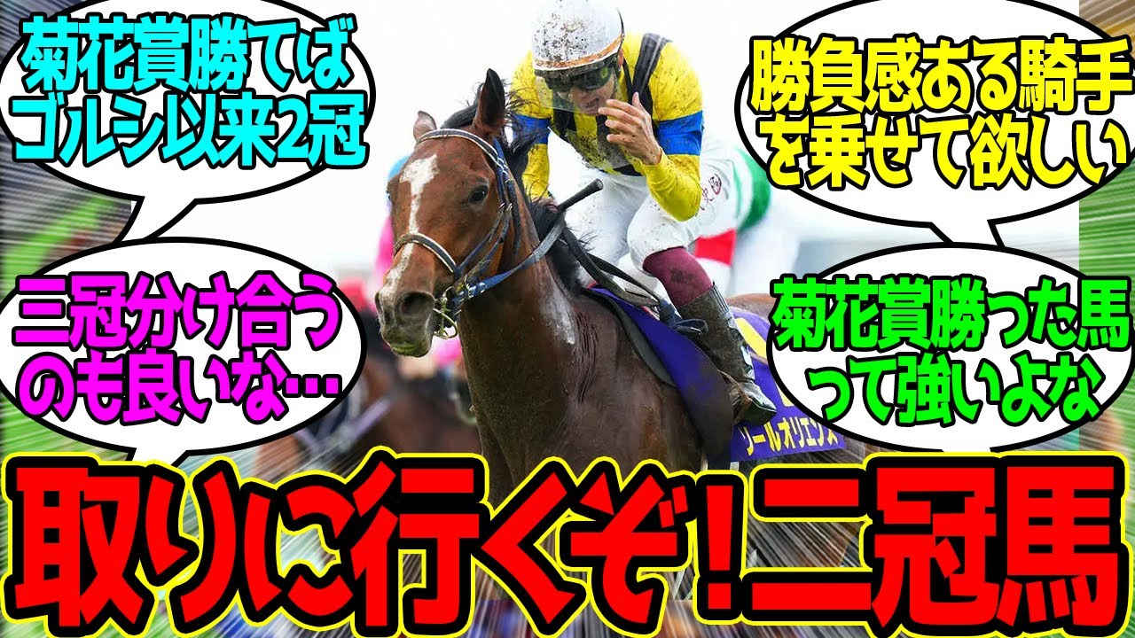 皐月賞馬ソールオリエンスも菊花賞へに対するみんなの反応！【競馬 の反応集】