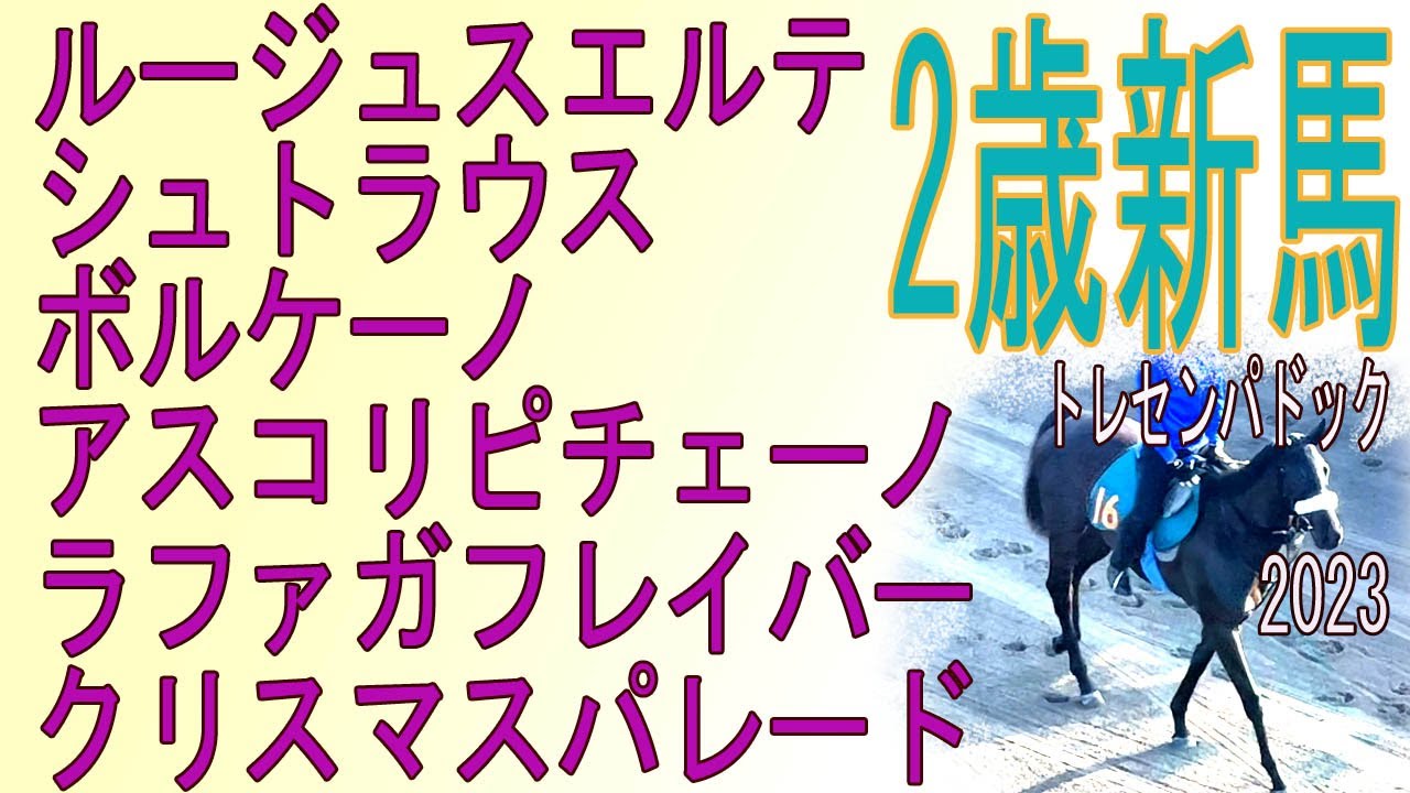 選りすぐり６頭まとめてご紹介。2歳新馬●ルージュスエルテ●シュトラウス●ボルケーノ●アスコリピチェーノ●ラファガフレイバー●クリスマスパレード　トレセンパドック2023　with music