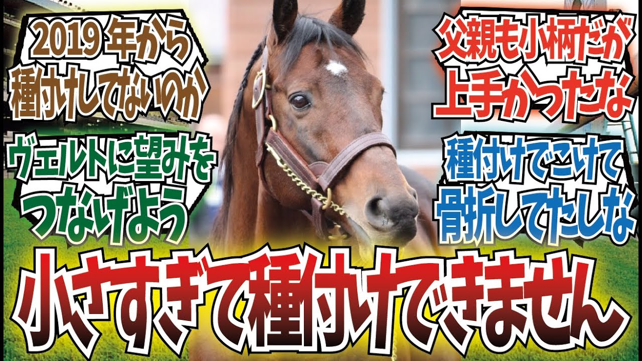 「お子様ハロン棒のドリームジャーニーさん」に対するみんなの反応集