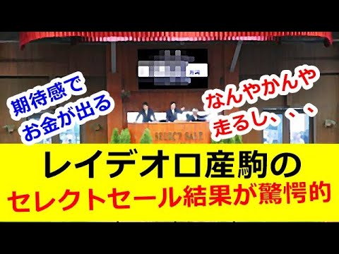 レイデオロ産駒のセレクトセール結果が驚愕的！！【競馬の反応】
