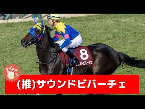 追い切り徹底解説！【阪神牝馬ステークス2023】ルージュスティリア、イズジョーノキセキなどの状態はどうか？調教S評価は2頭！