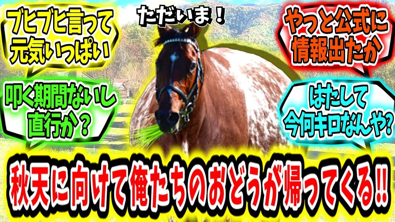 『秋天を視野に‼ついに俺たちのドウデュースが帰ってくるぞ‼』に対する俺達の反応【競馬の反応集】