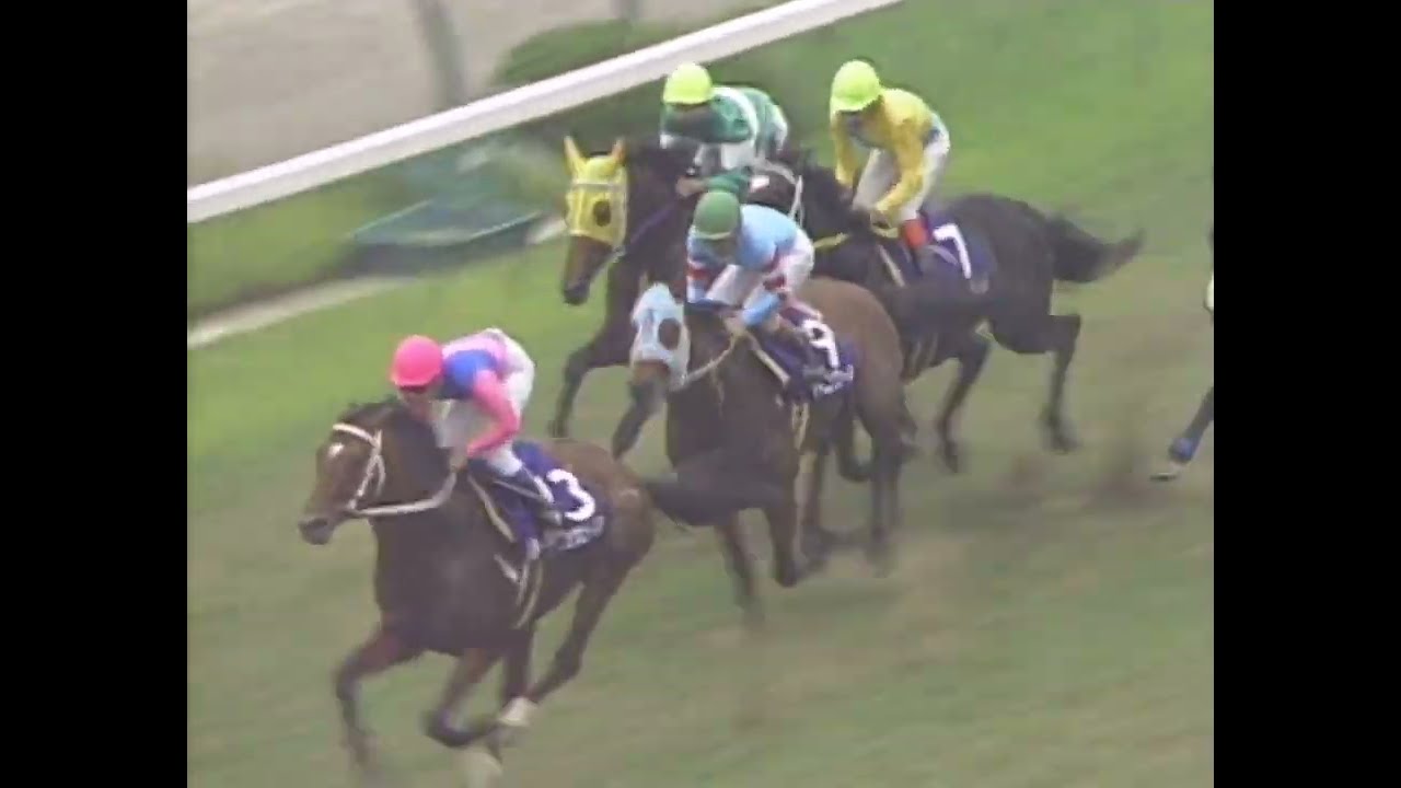 ダイタクヘリオス 1992年 第33回宝塚記念(GI) (優勝馬：メジロパーマー)